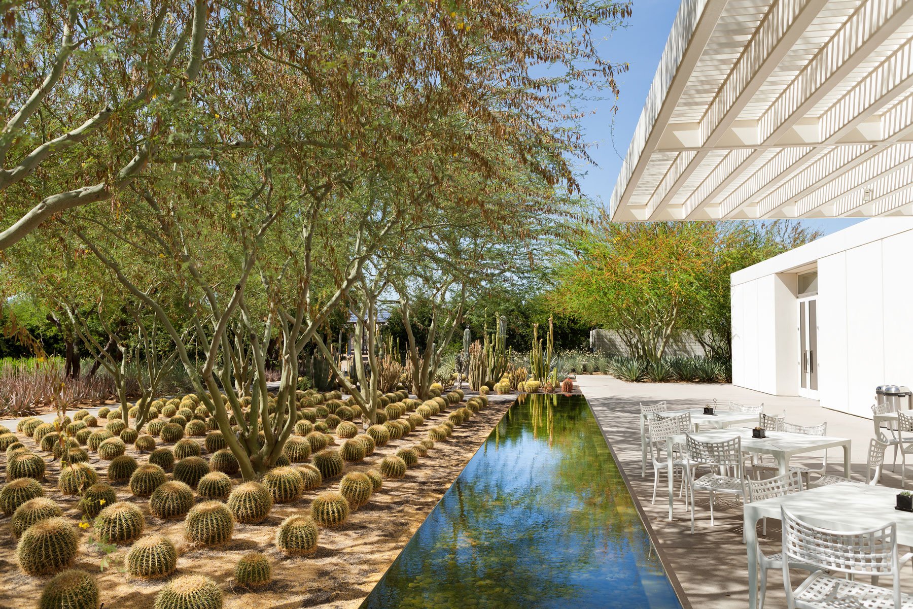 Sunnylands reflecting pool
