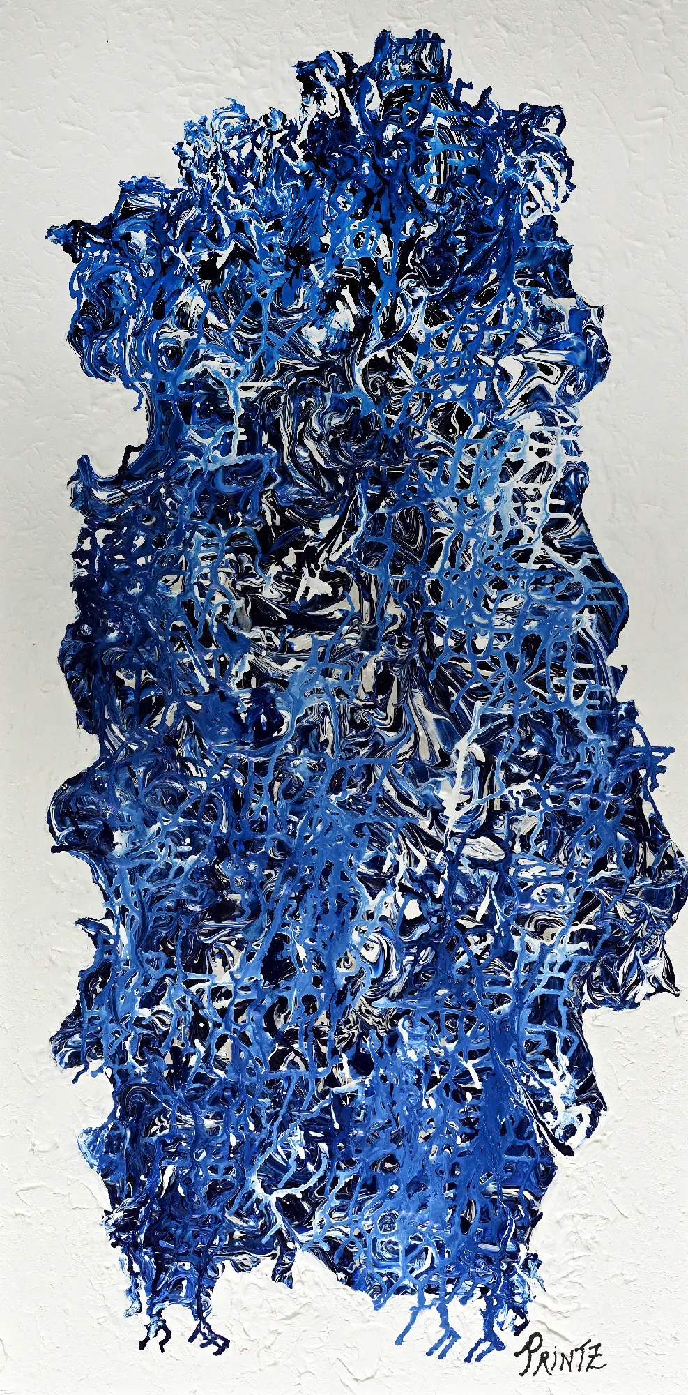 BLUE & WHITE's portrait image
