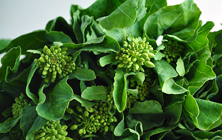 photo Can You Eat Chinese Broccoli Flowers chinese broccoli