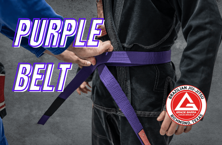 Purple Belt BJJ Graphic