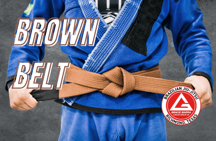 Brown Belt BJJ Graphic