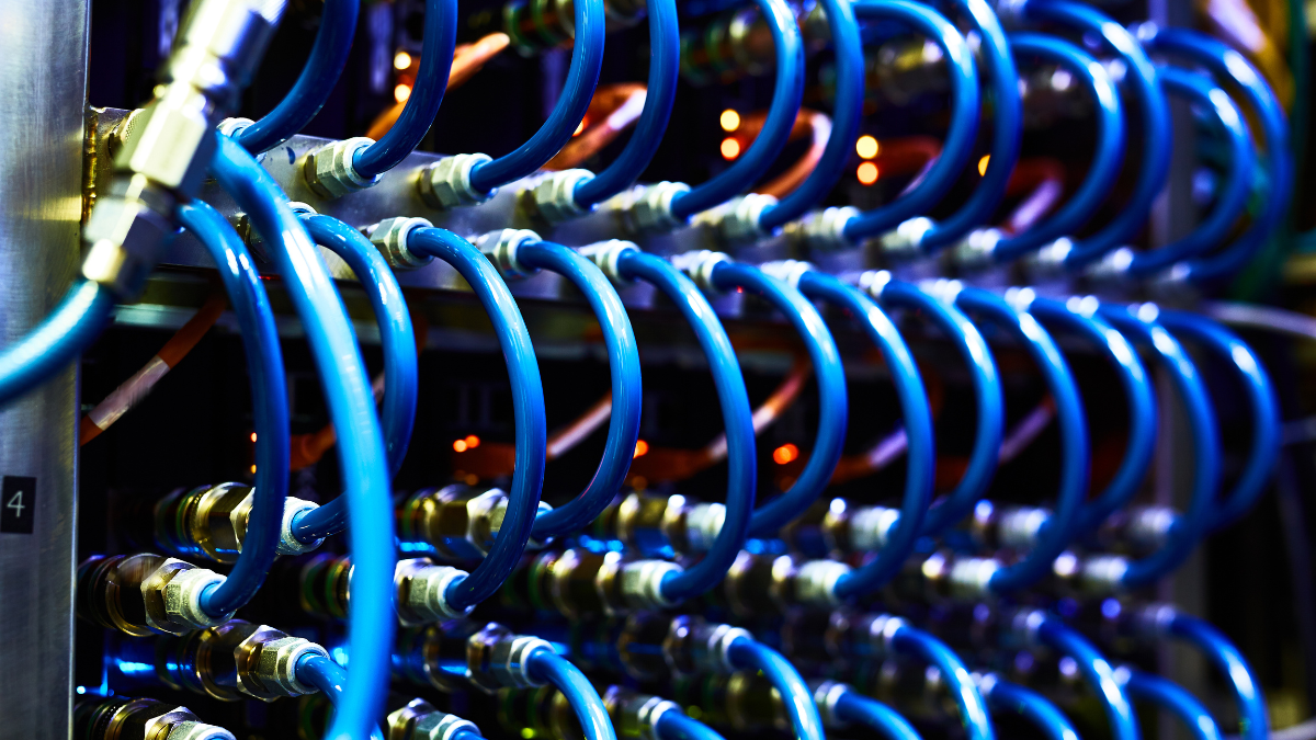 Close-up of structured data cabling in a network cabinet for commercial connectivity infrastructure