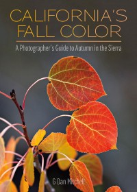 California’s Fall Color: A Photographer’s Guide to Autumn in the Sierra