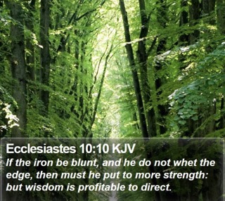 Read more about the article Wisdom Is Profitable To Direct
