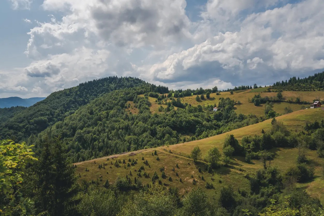 Zlatar