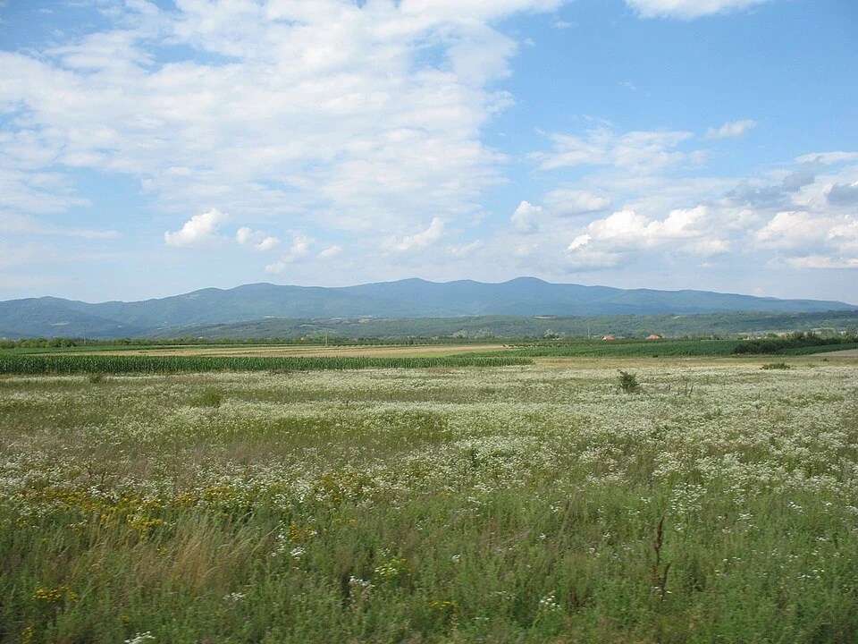 Jastrebac planina