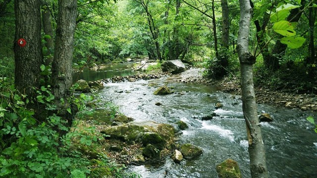 Slikovita reka Gradac u lepoj prirodi