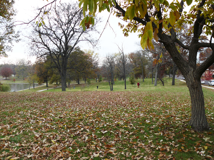 Pictures from Willmore Park