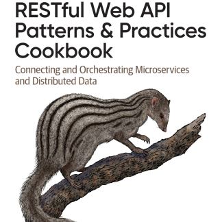 RESTful Web API Patterns and Practices Cookbook image 0