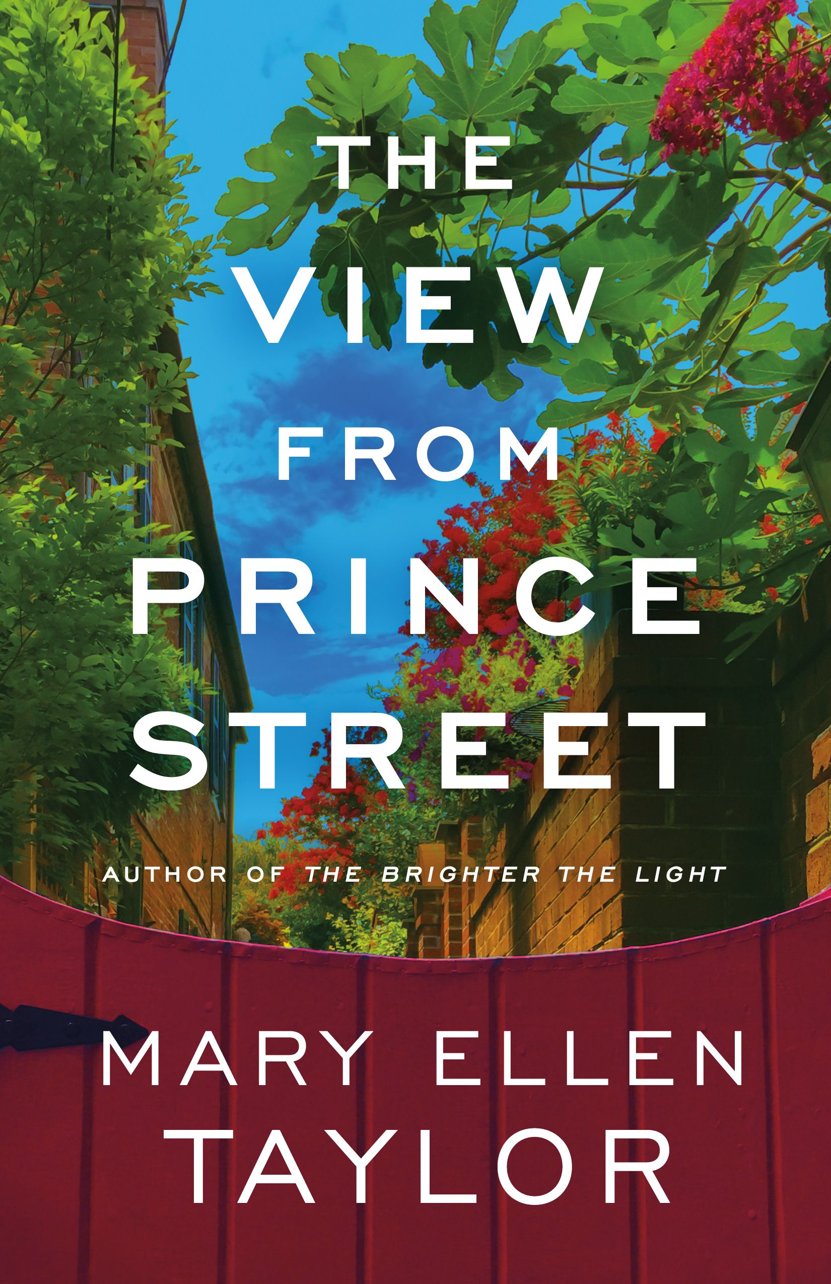 Book cover: The View from Prince Street by Mary Ellen Taylor
