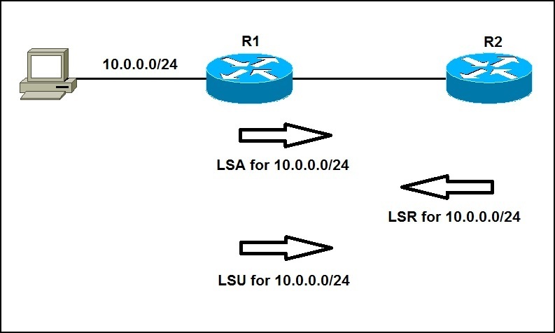 Link-state advertisement (LSA) | CCNA#