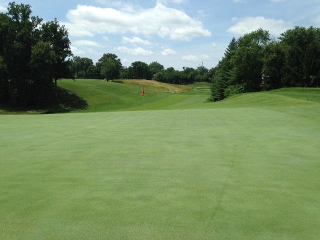 #4 - Par 4