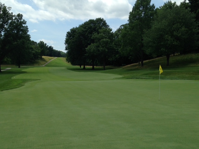 #5 - Par 4