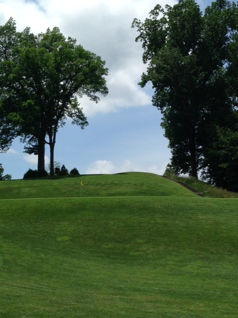 #7 - Par 3