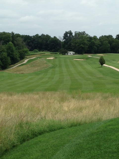 #12 - Par 4