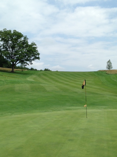 #14 - Par 4