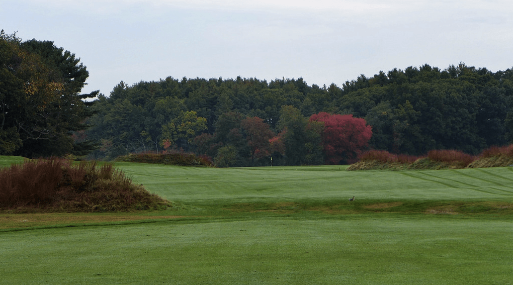 Myopia2-Fairway-JC