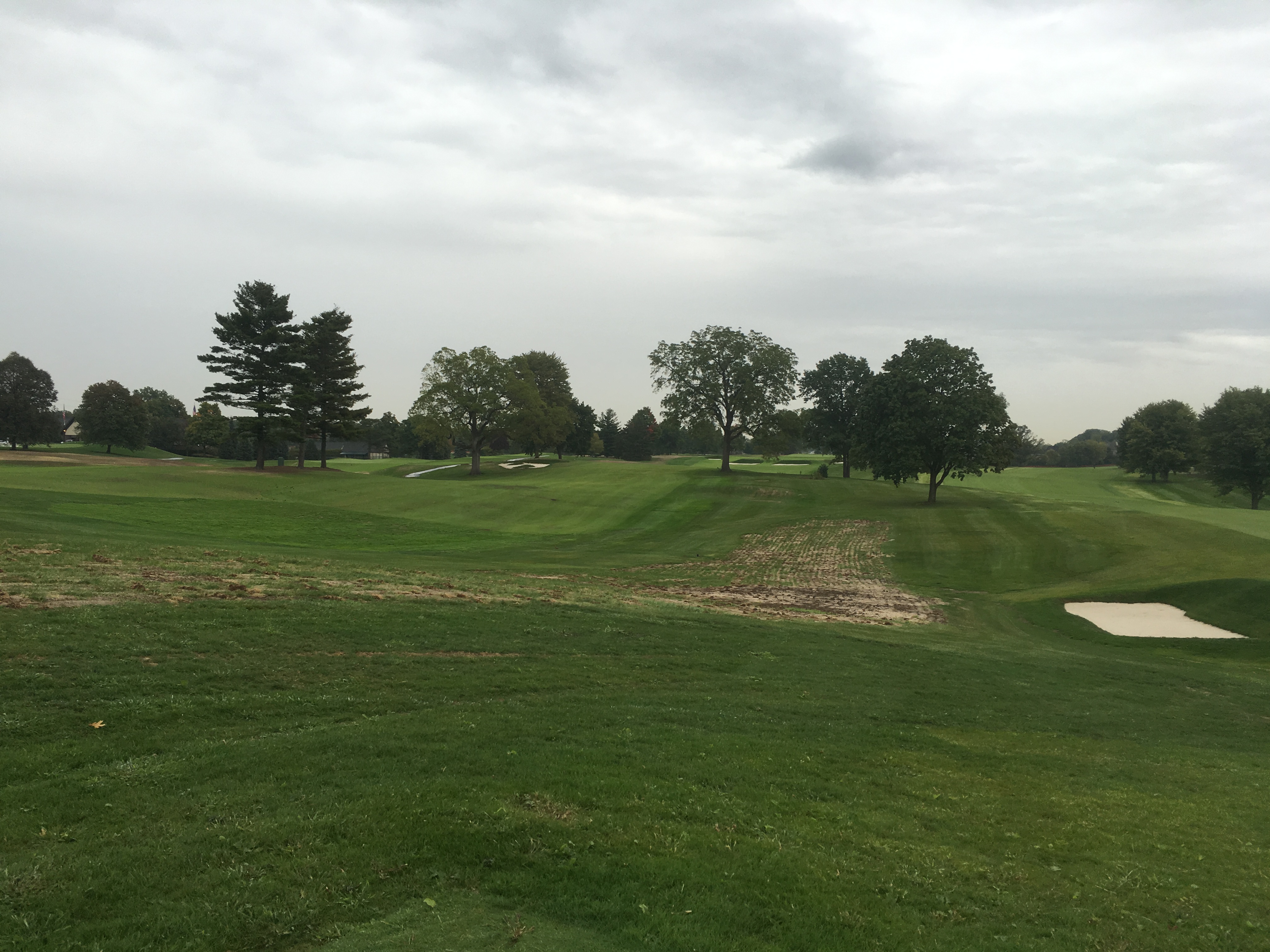 meadowbrook17-rightrough