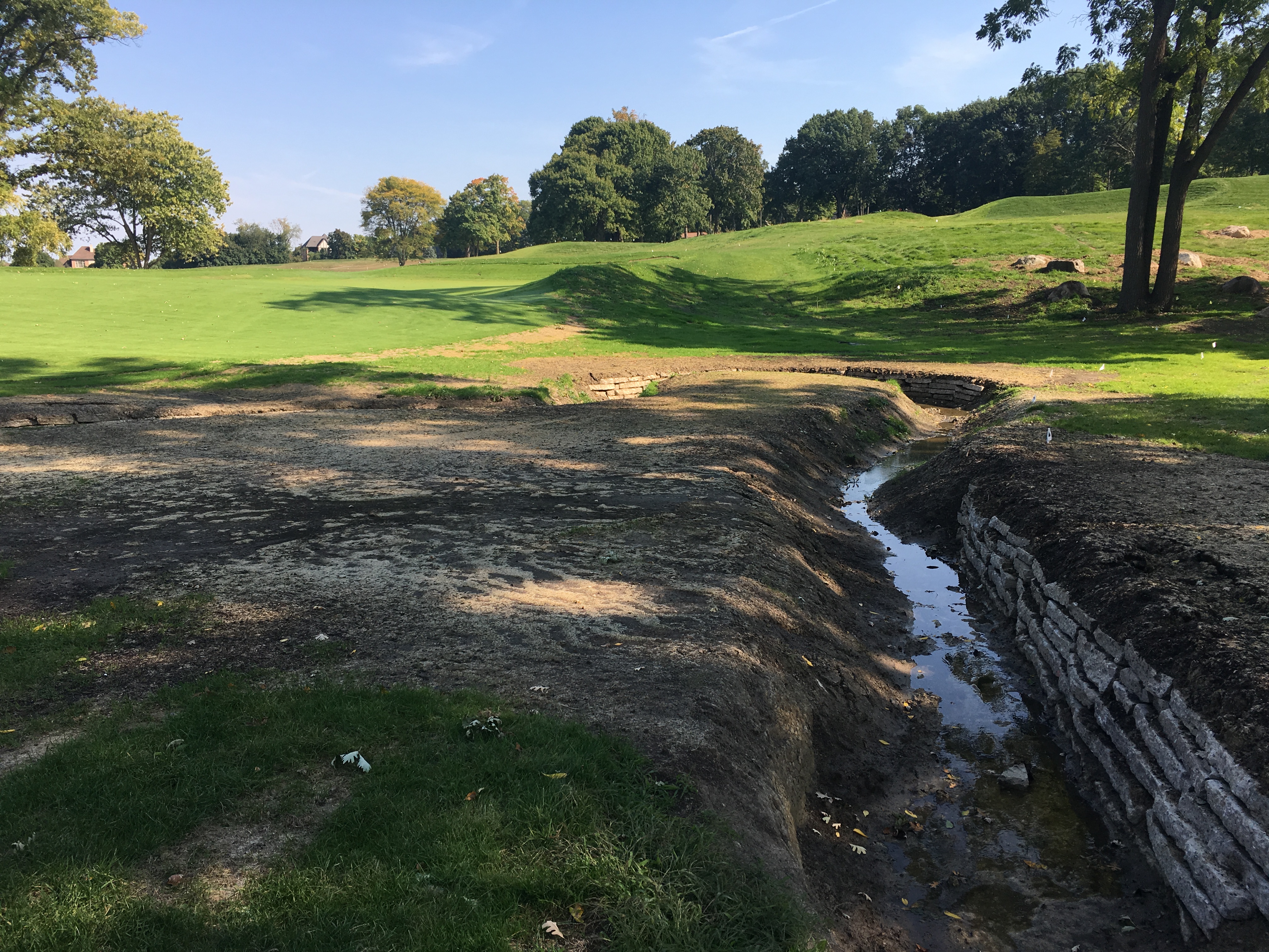 meadowbrook5-stream1