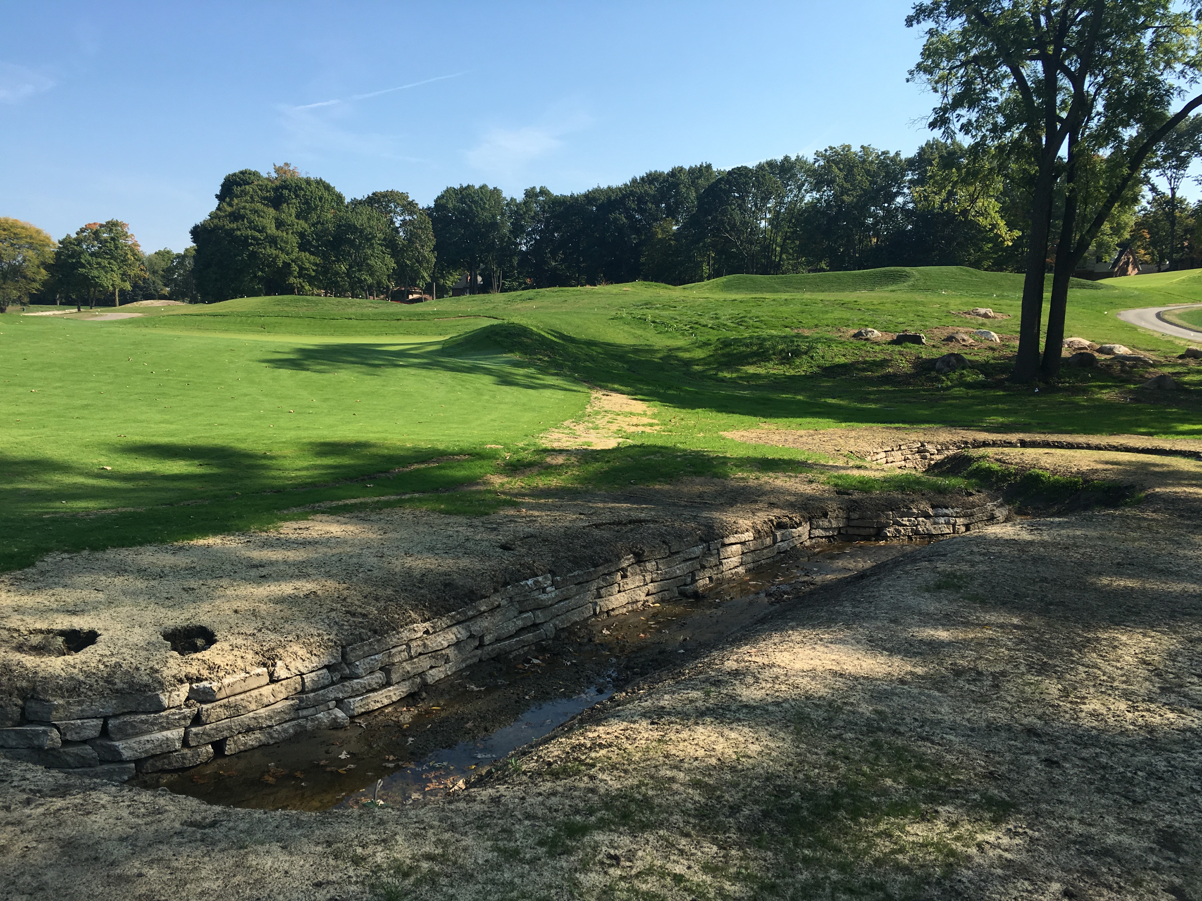 meadowbrook5-stream2