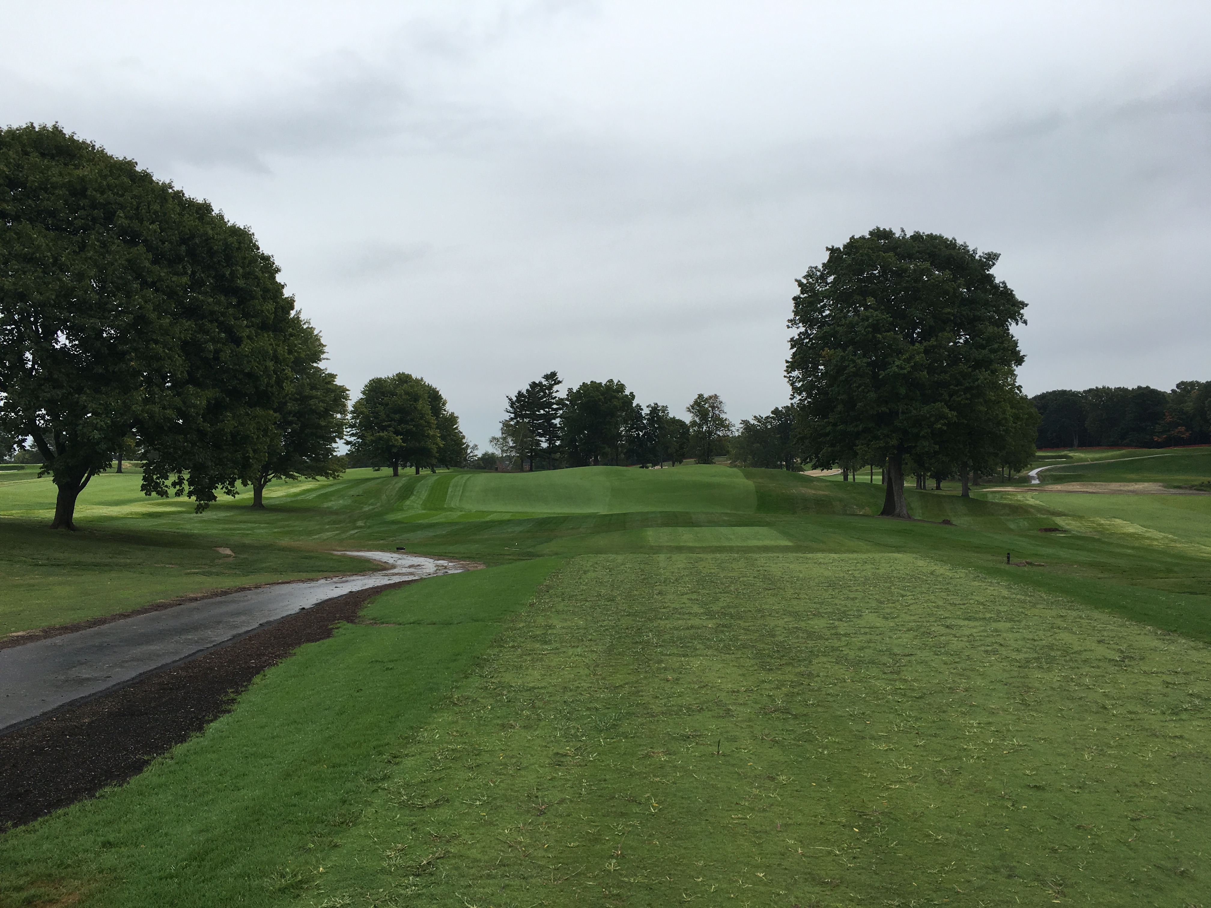 meadowbrook5-tee