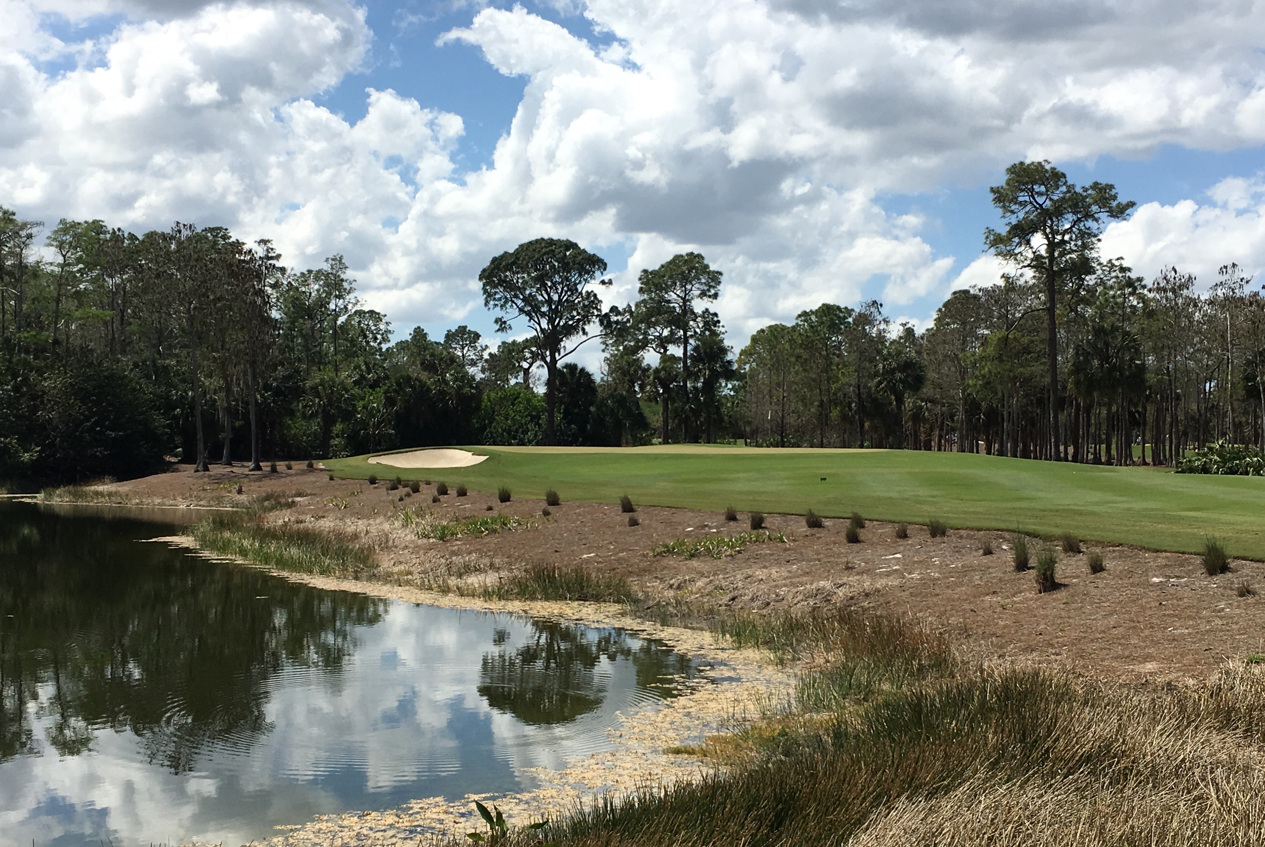 CalusaPines12-Approachleft