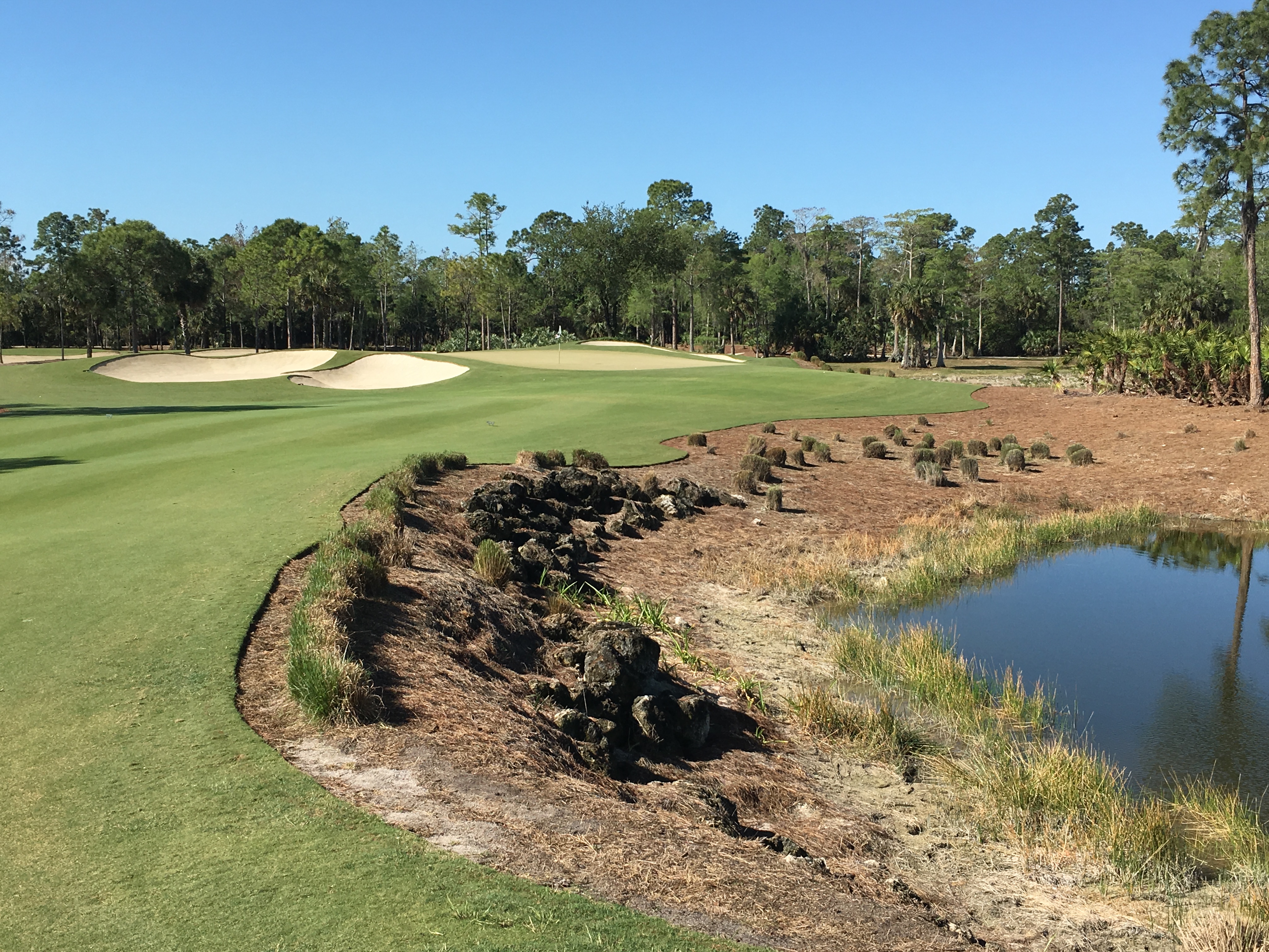 CalusaPines4-Approach