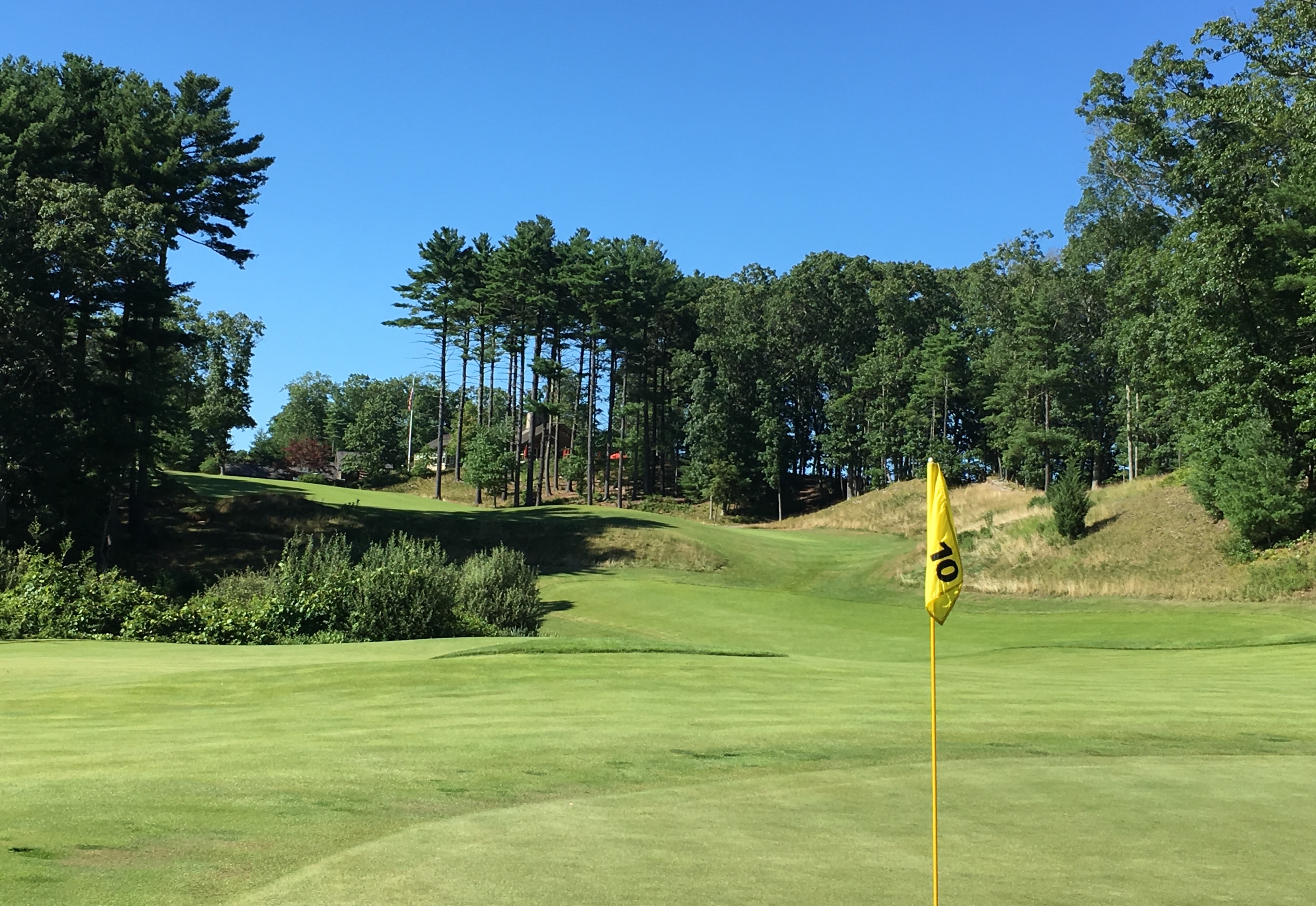 BostonGC10-GreenBack