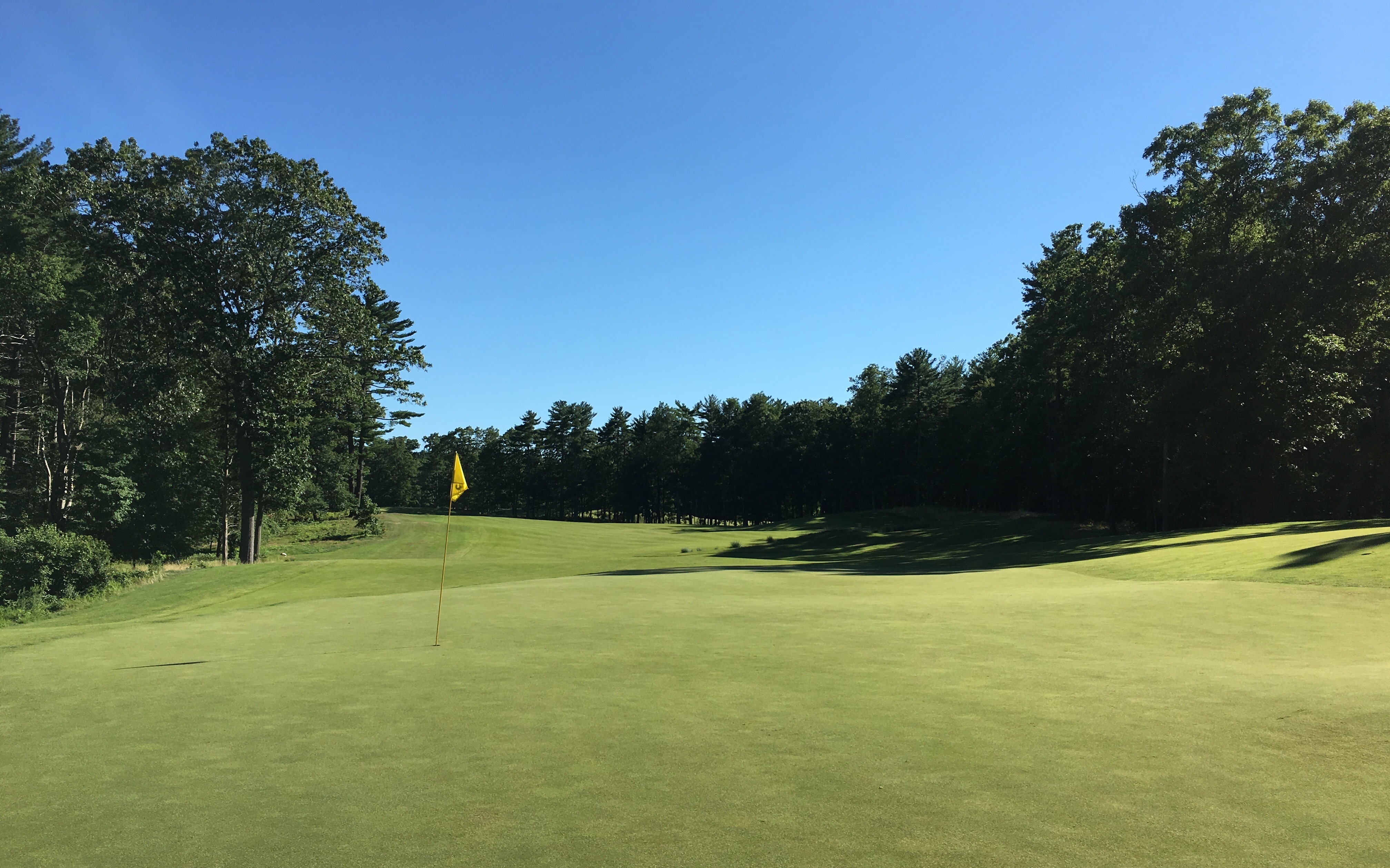 BostonGC13-GreenBack