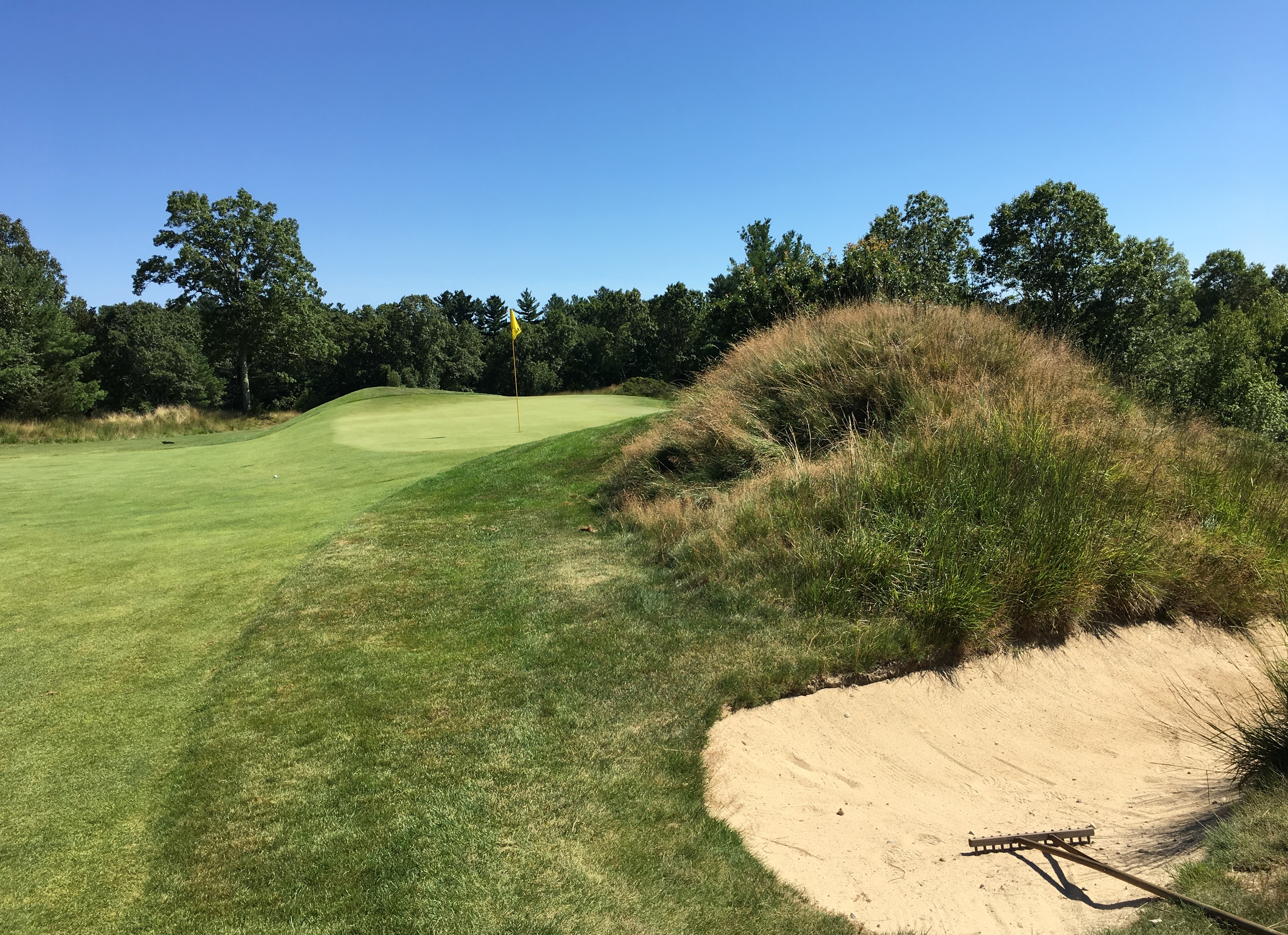 BostonGC5-ShortRight