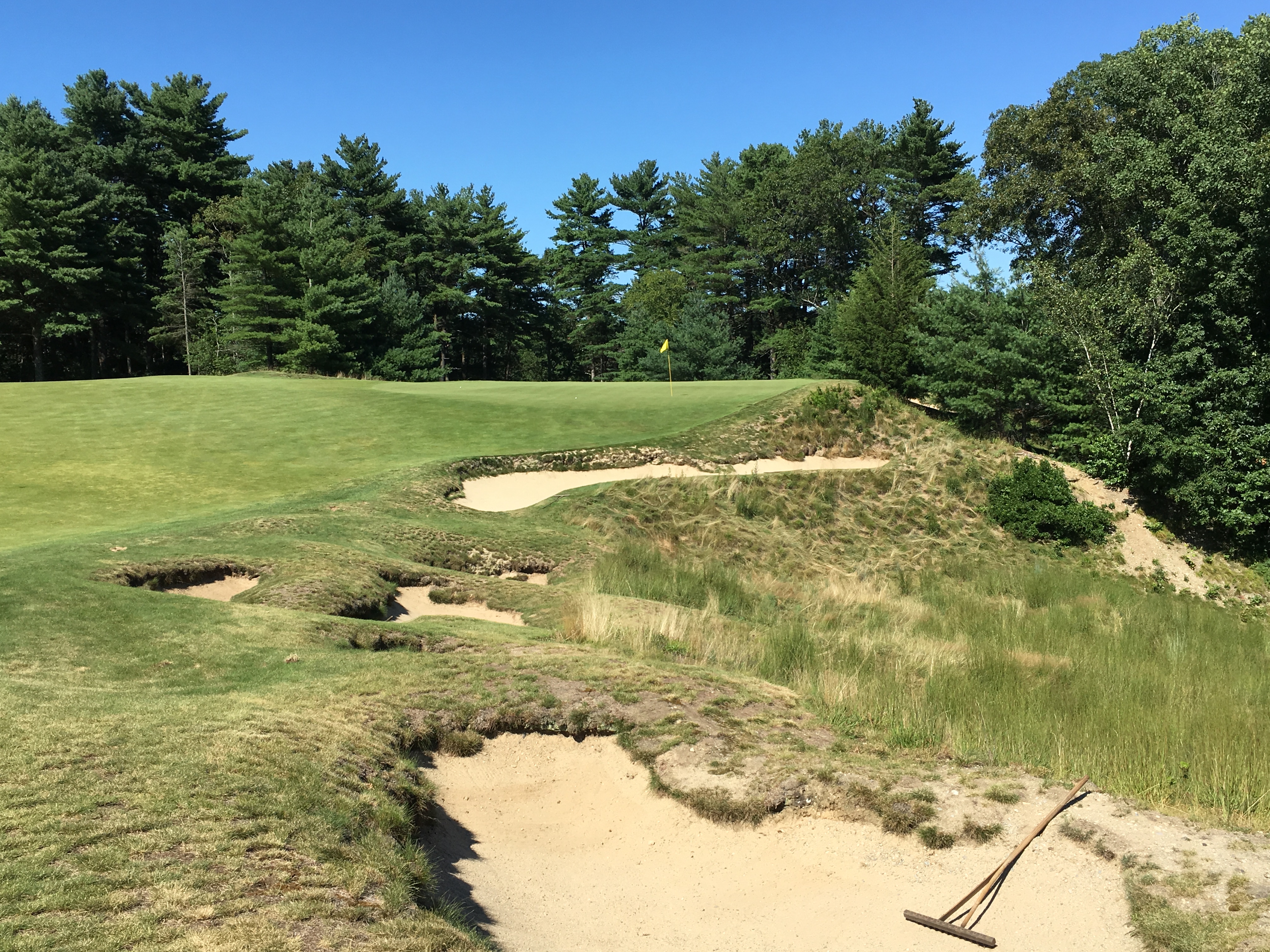 BostonGC7-ShortRight