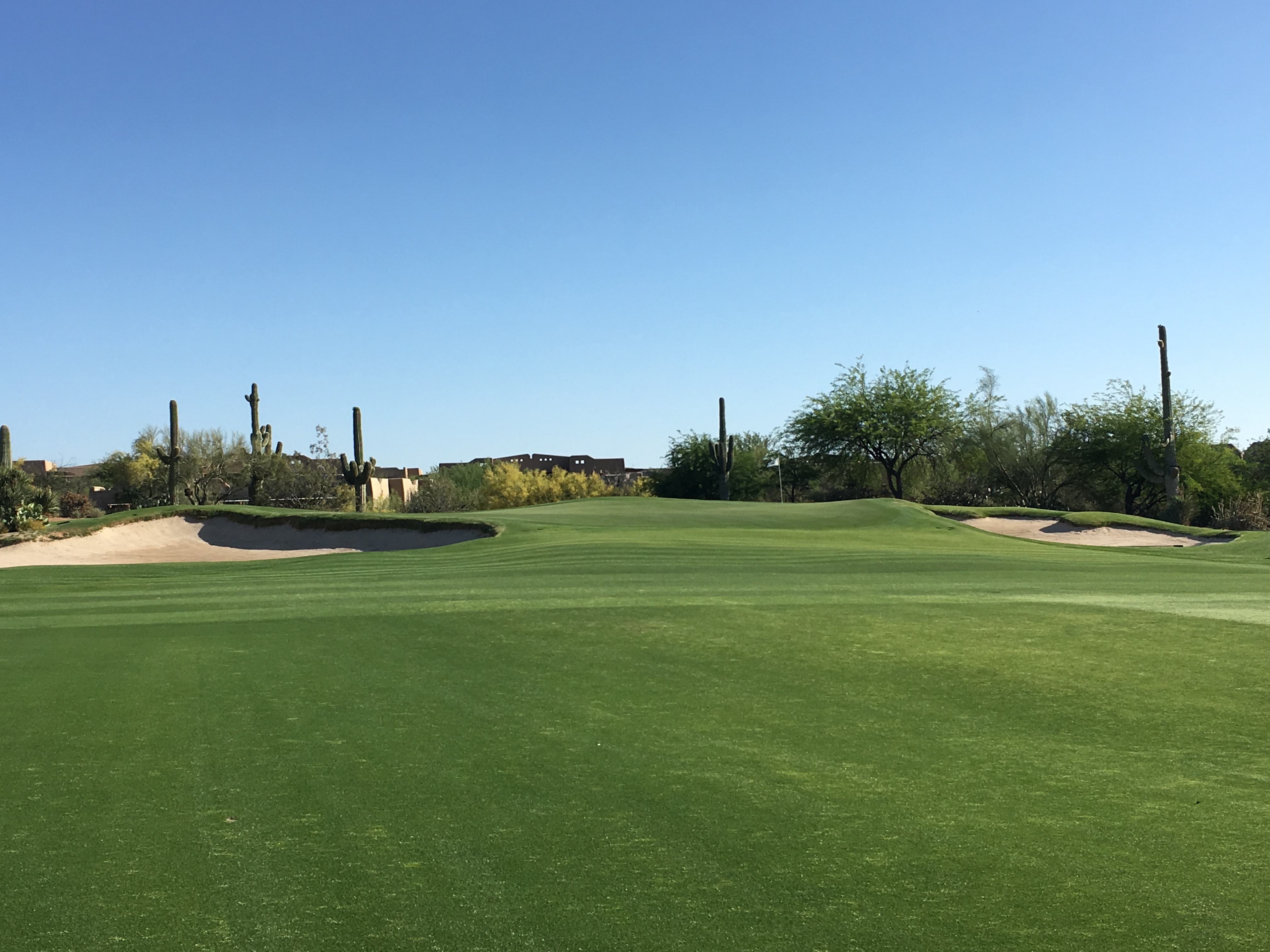 DesertForest10-Approach