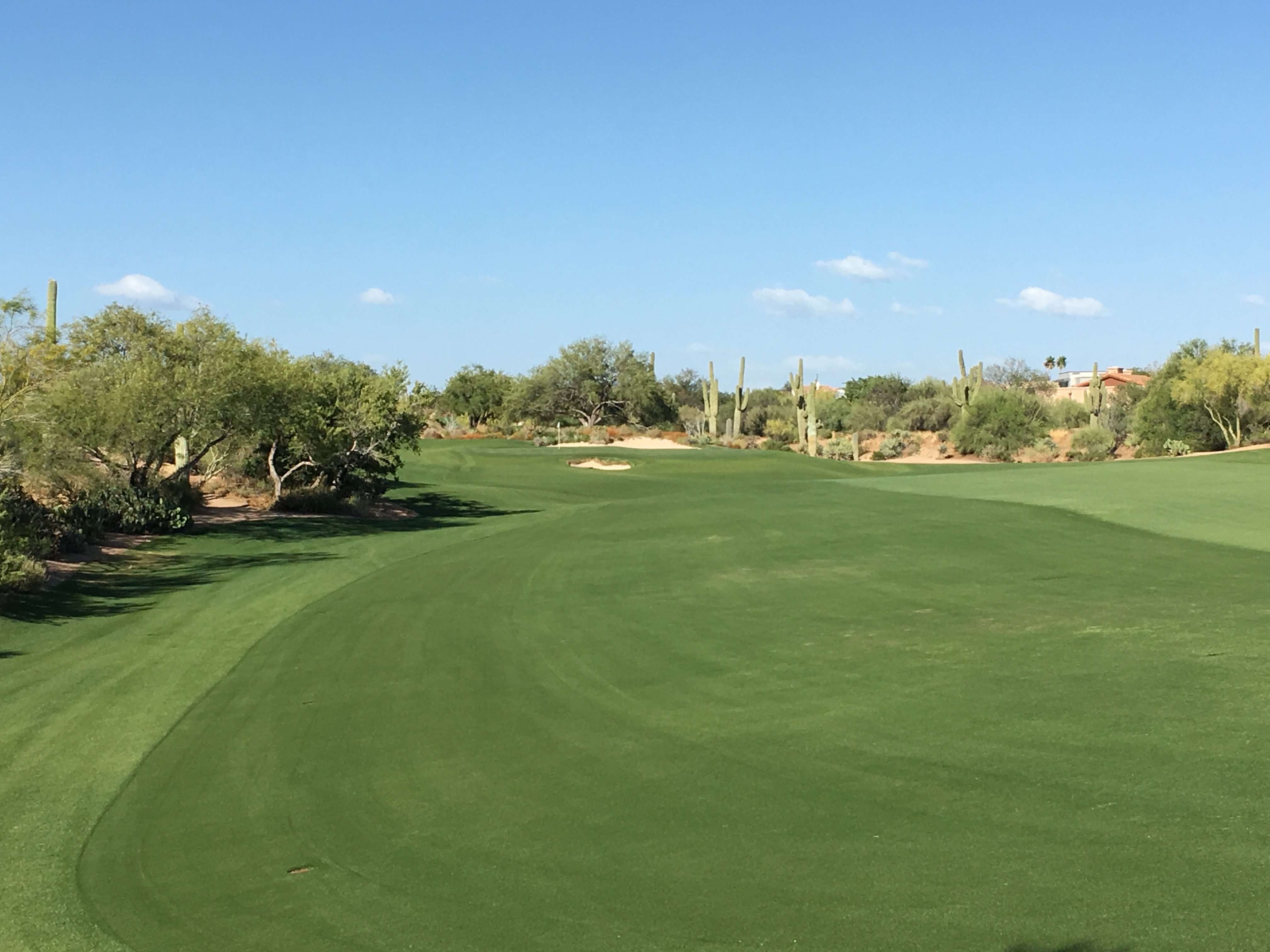 DesertForest11-Approach