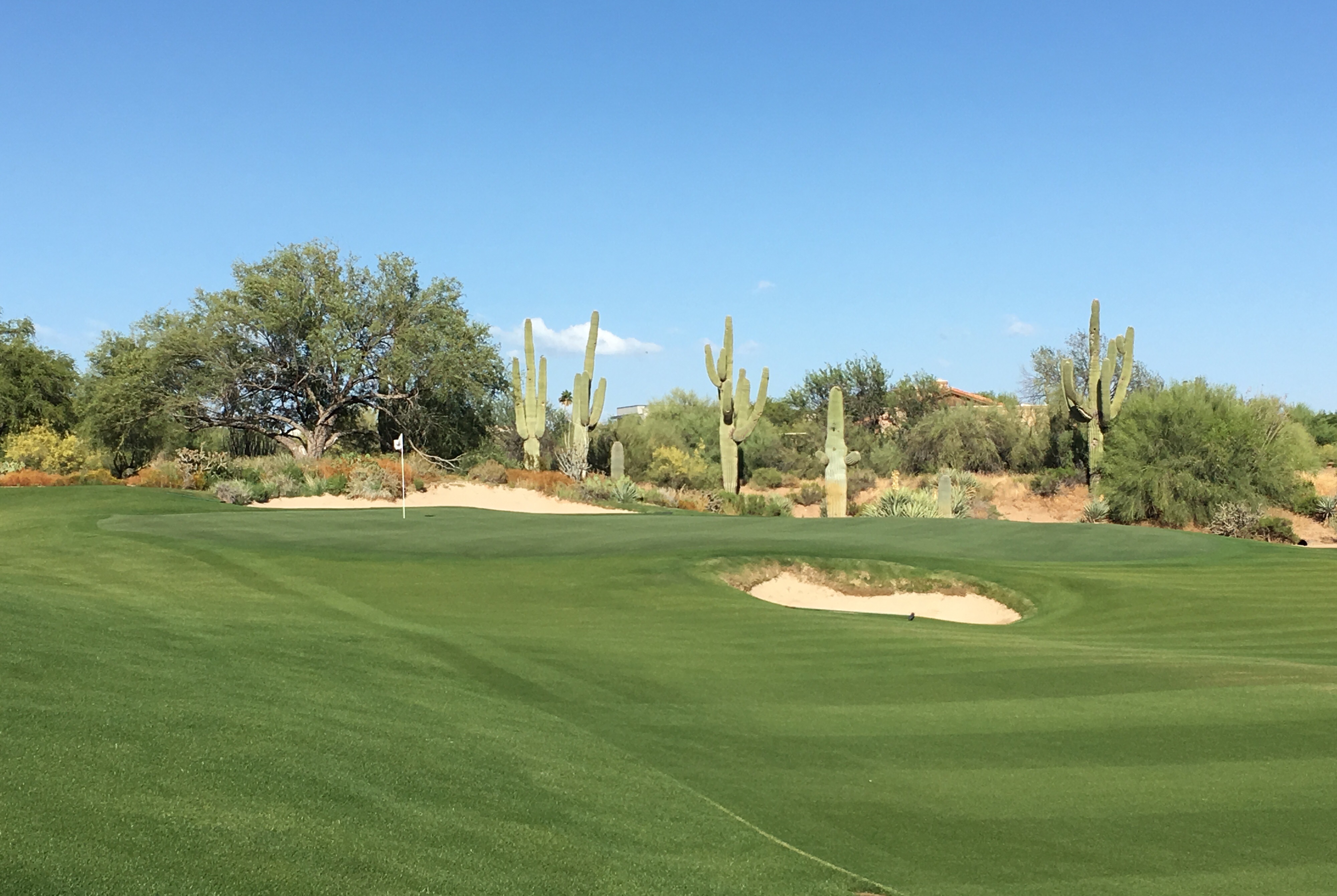 DesertForest11-ShortLeft