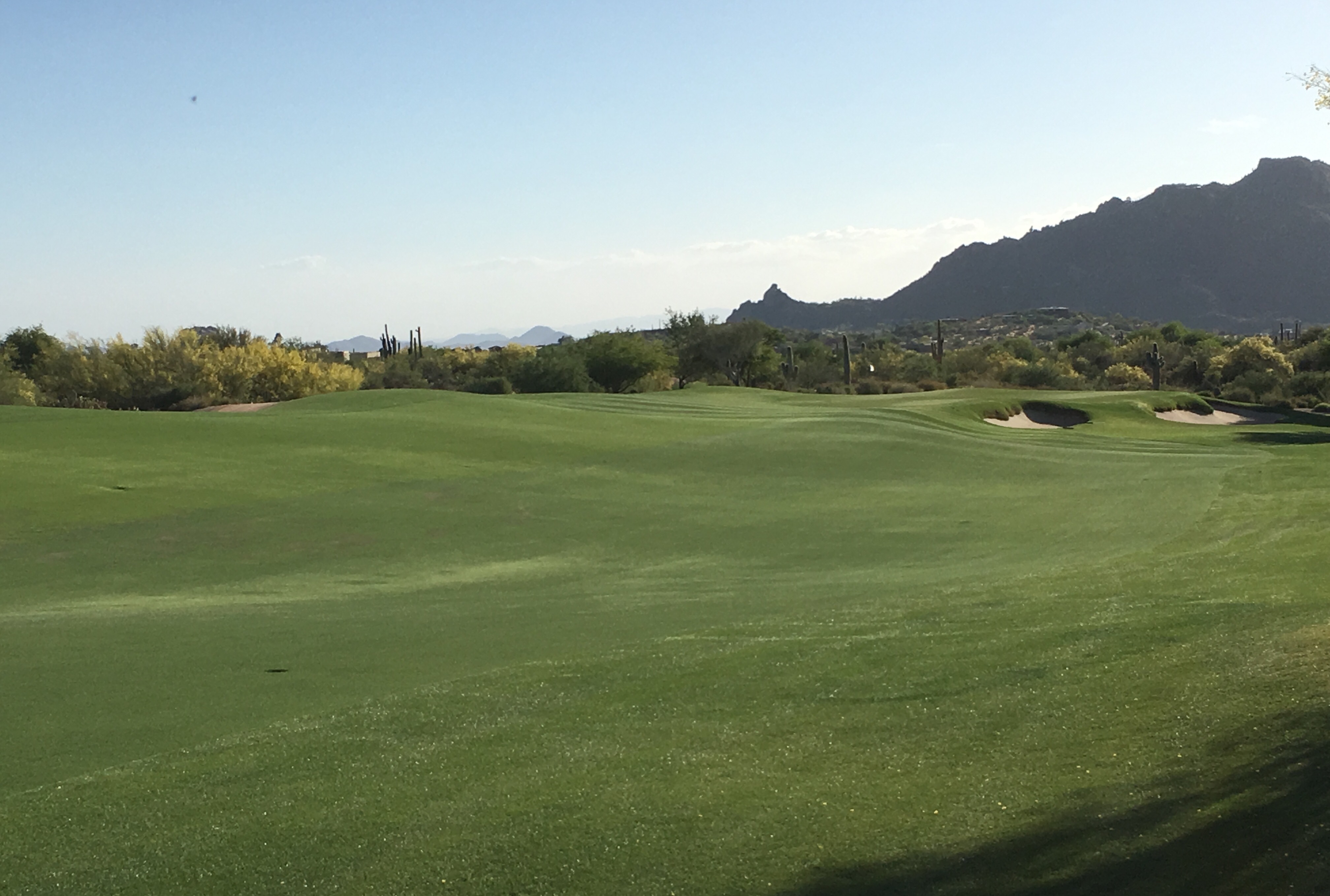 DesertForest14-Approach