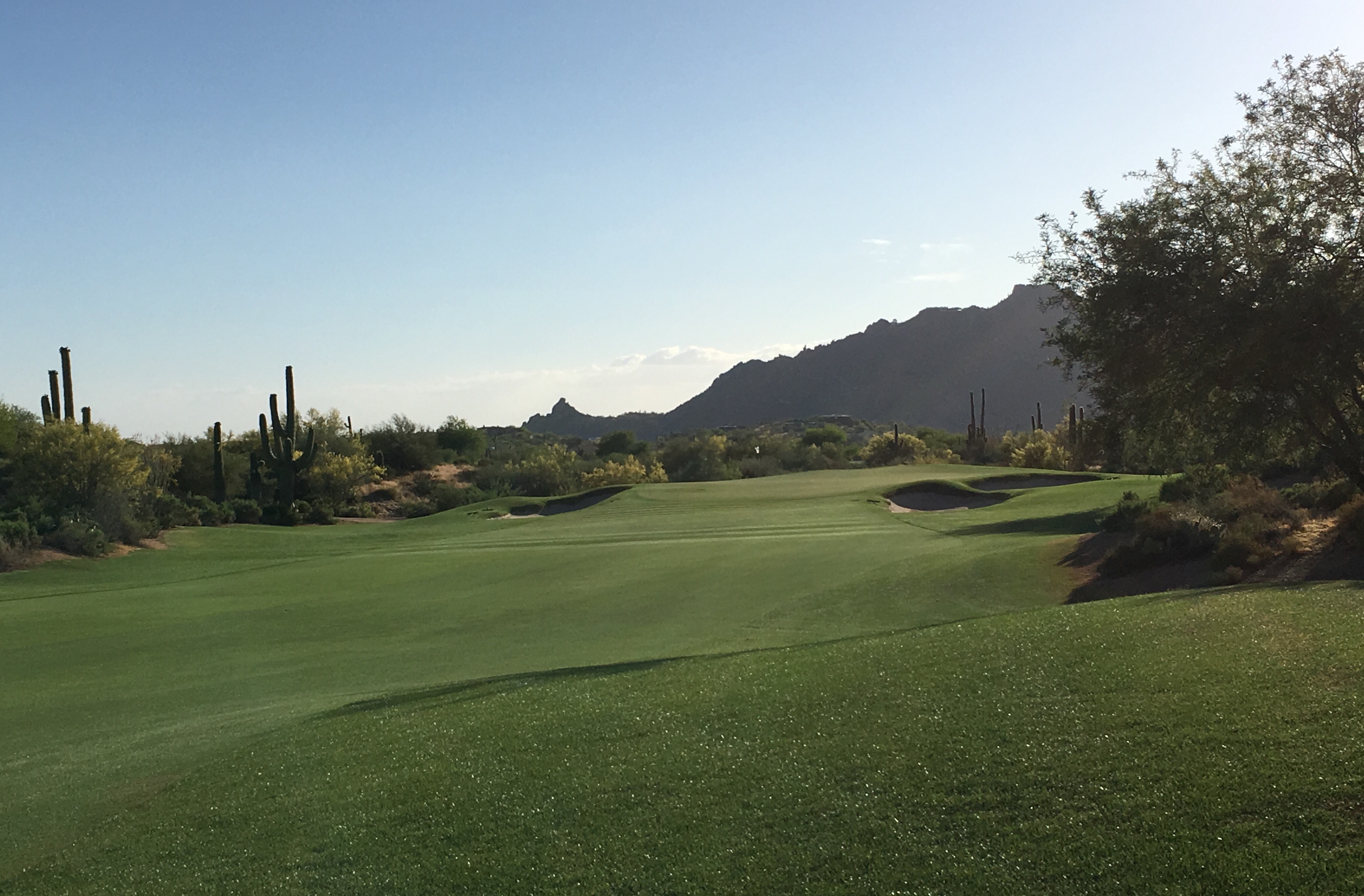 DesertForest15-Approach