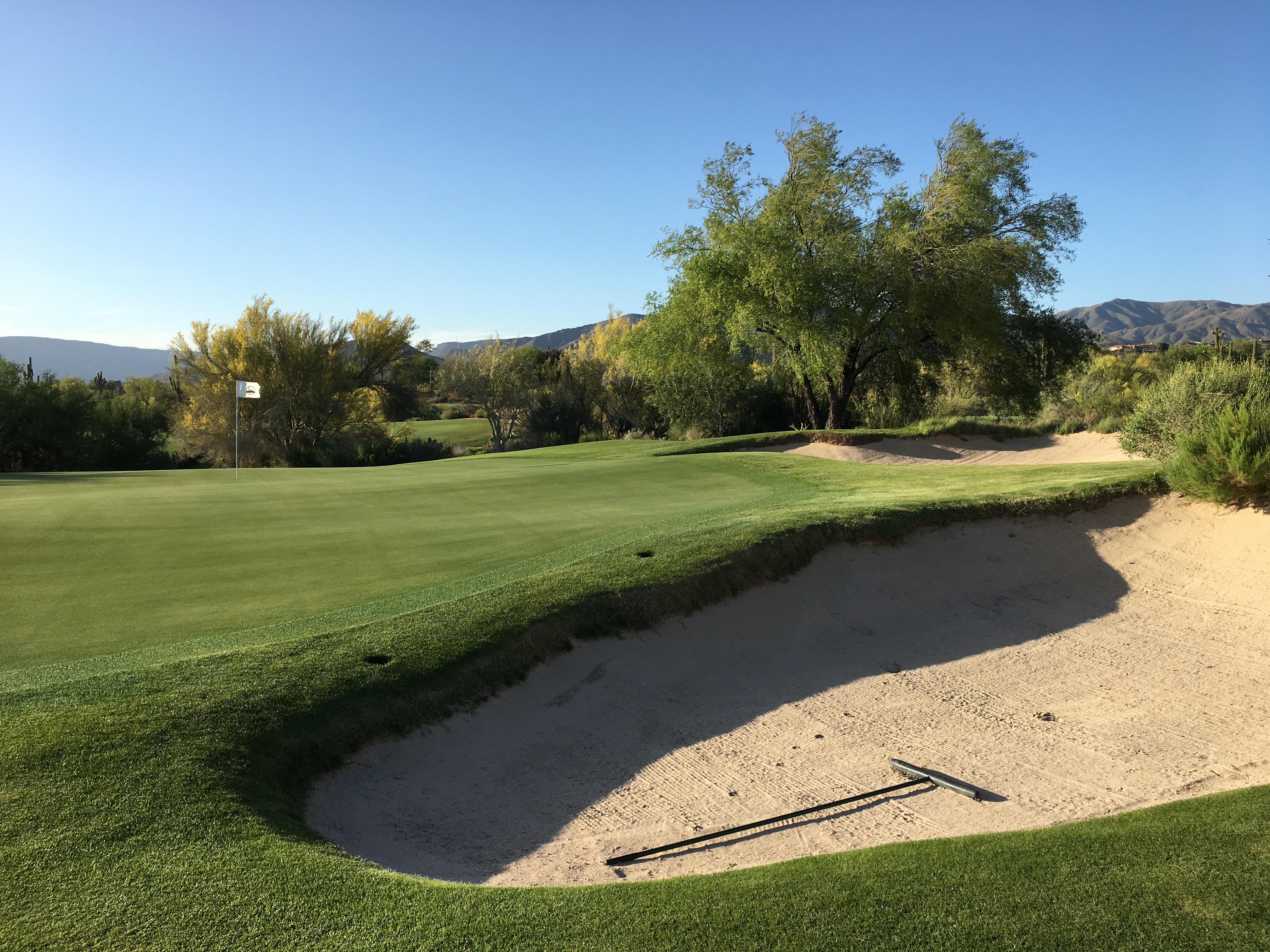 DesertForest17-BackRight