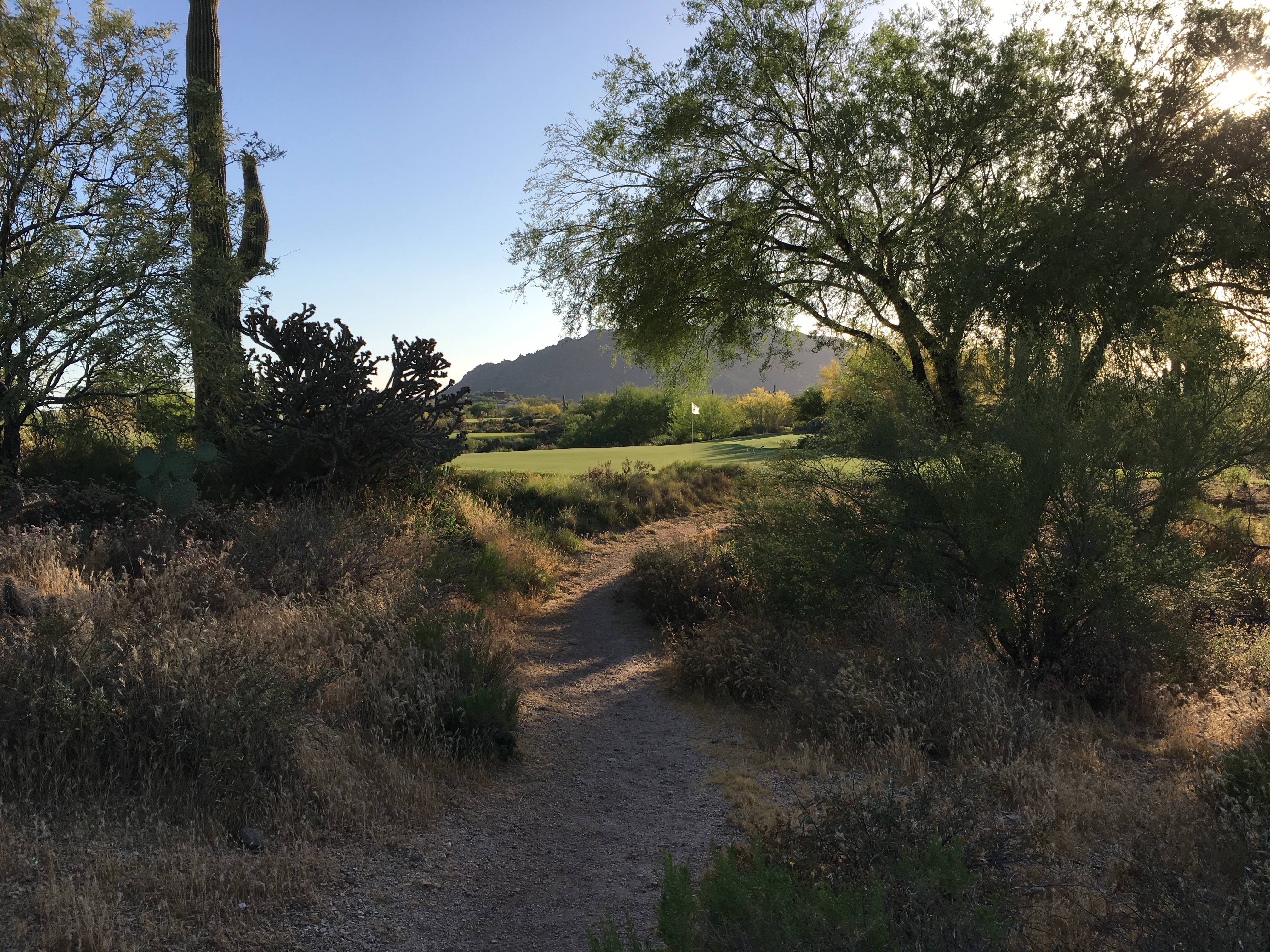 DesertForest17-Path