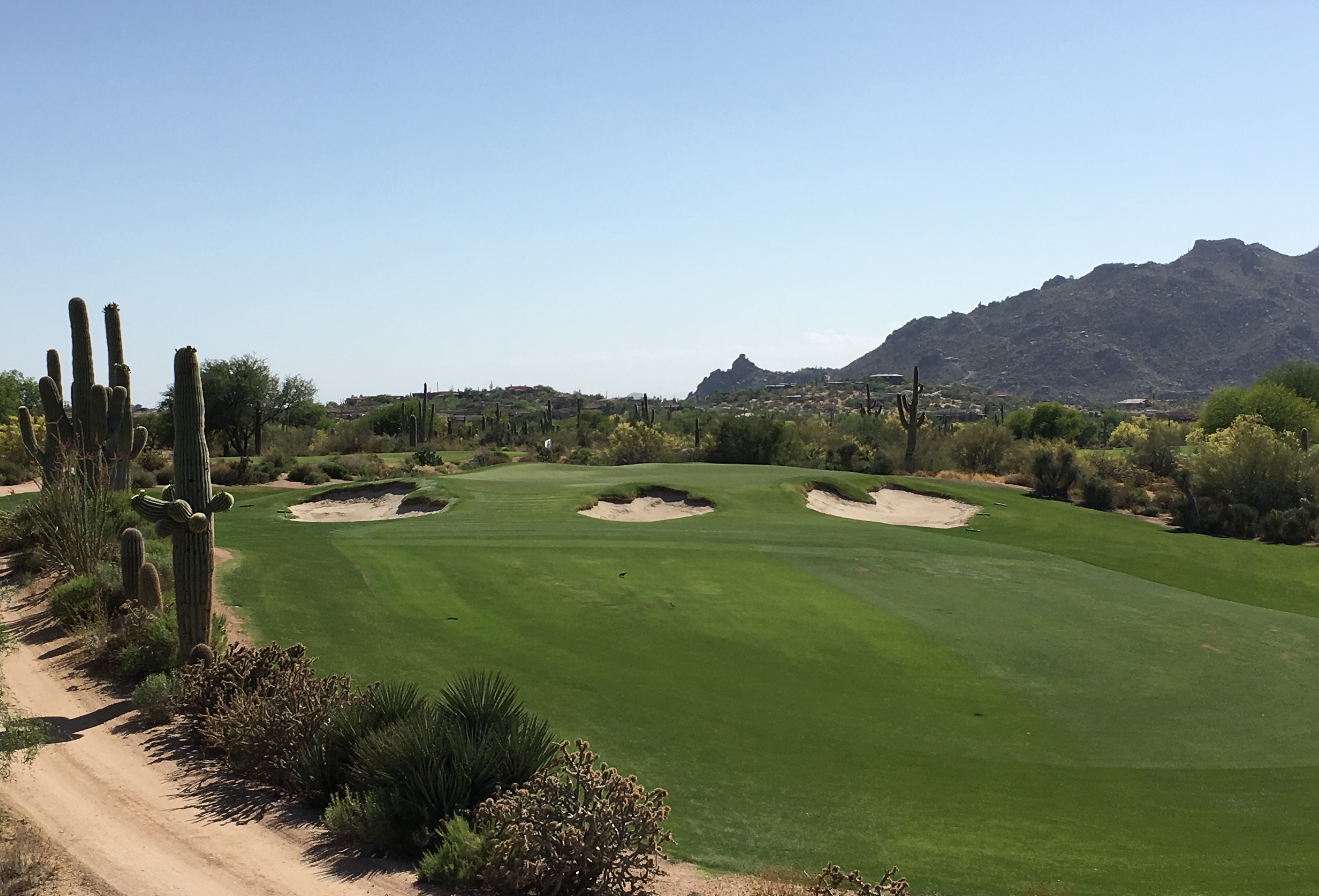 DesertForest3-Approach