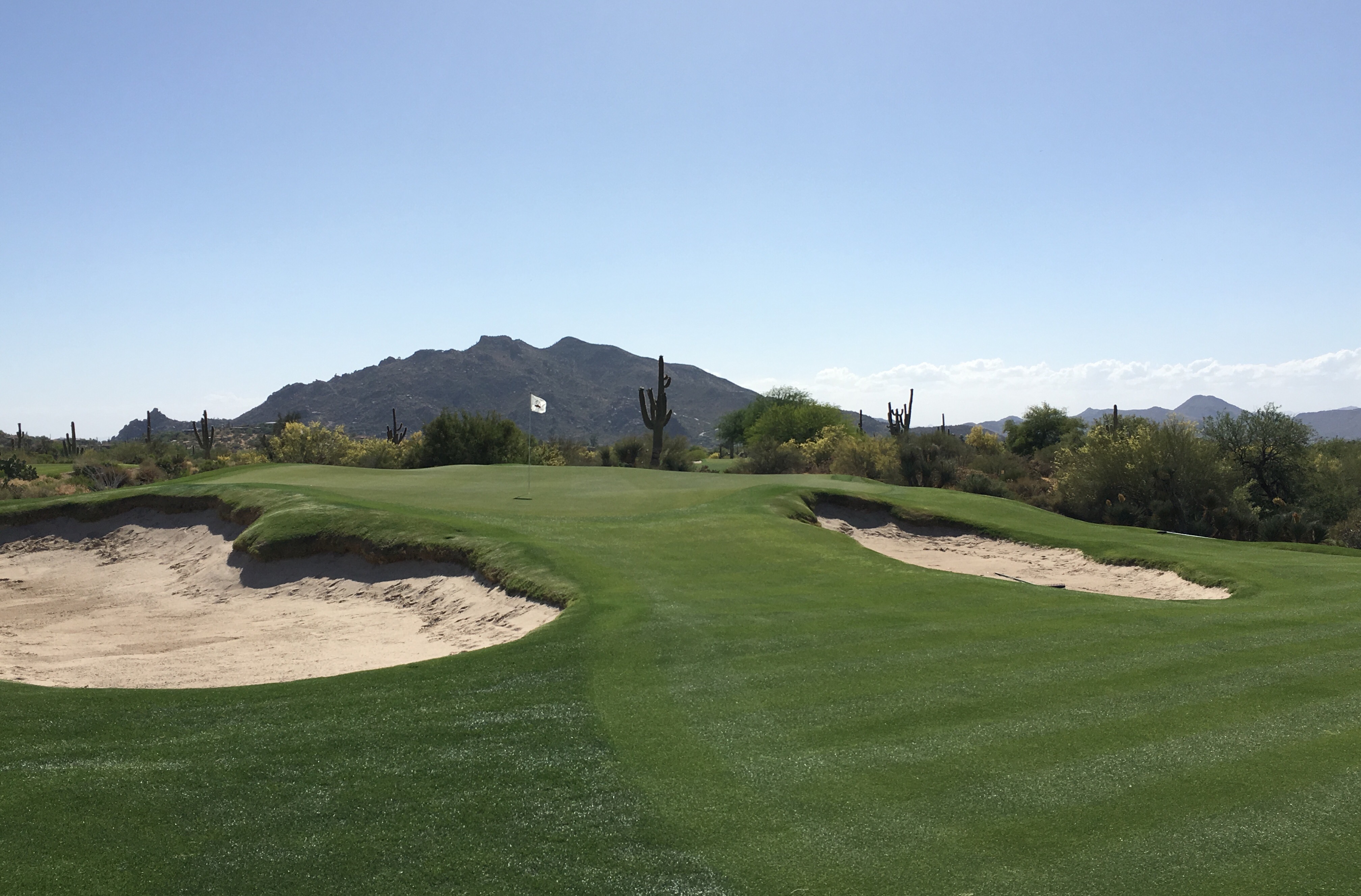 DesertForest3-ShortLeft