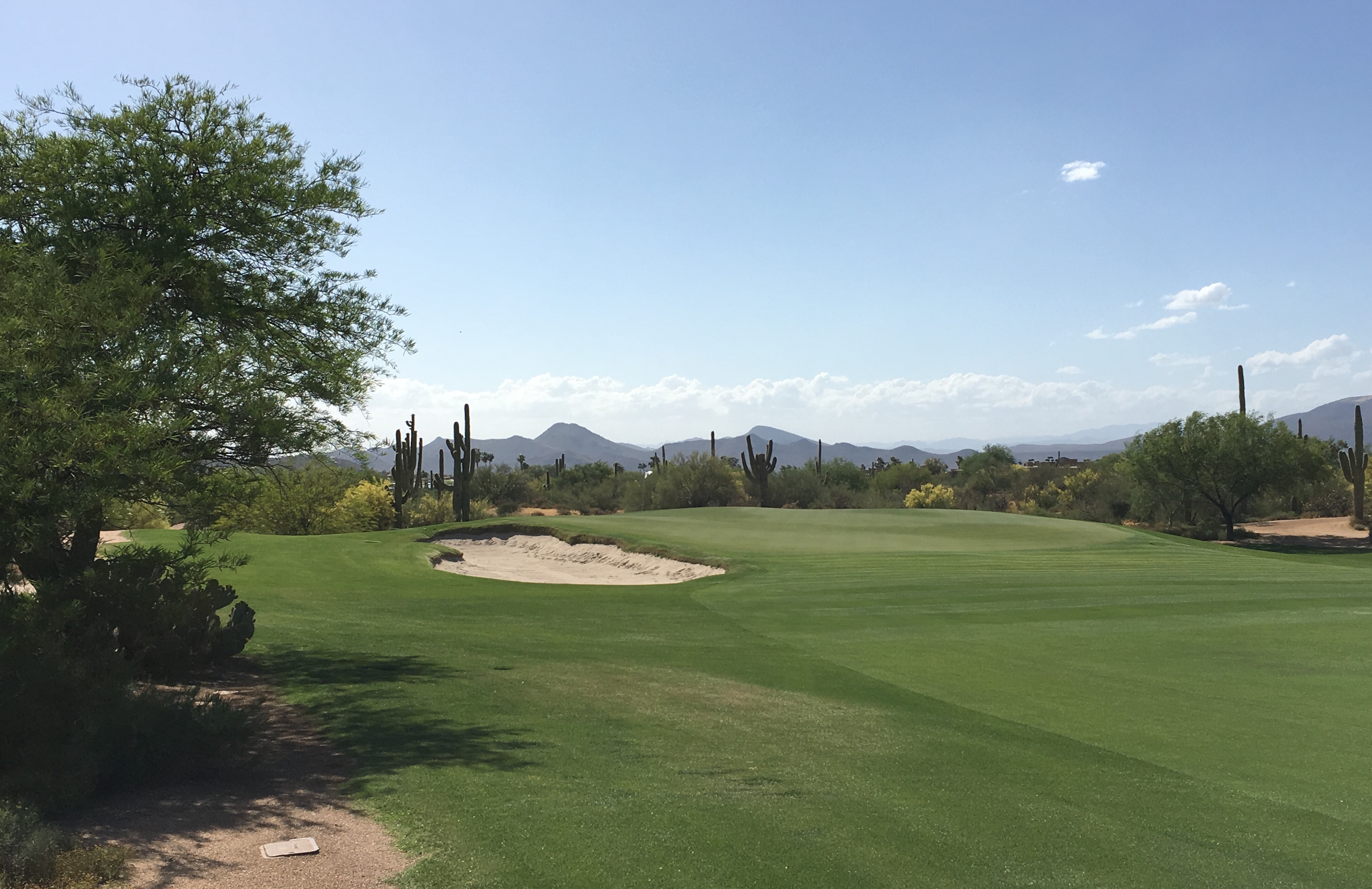 DesertForest4-ApproachLeft