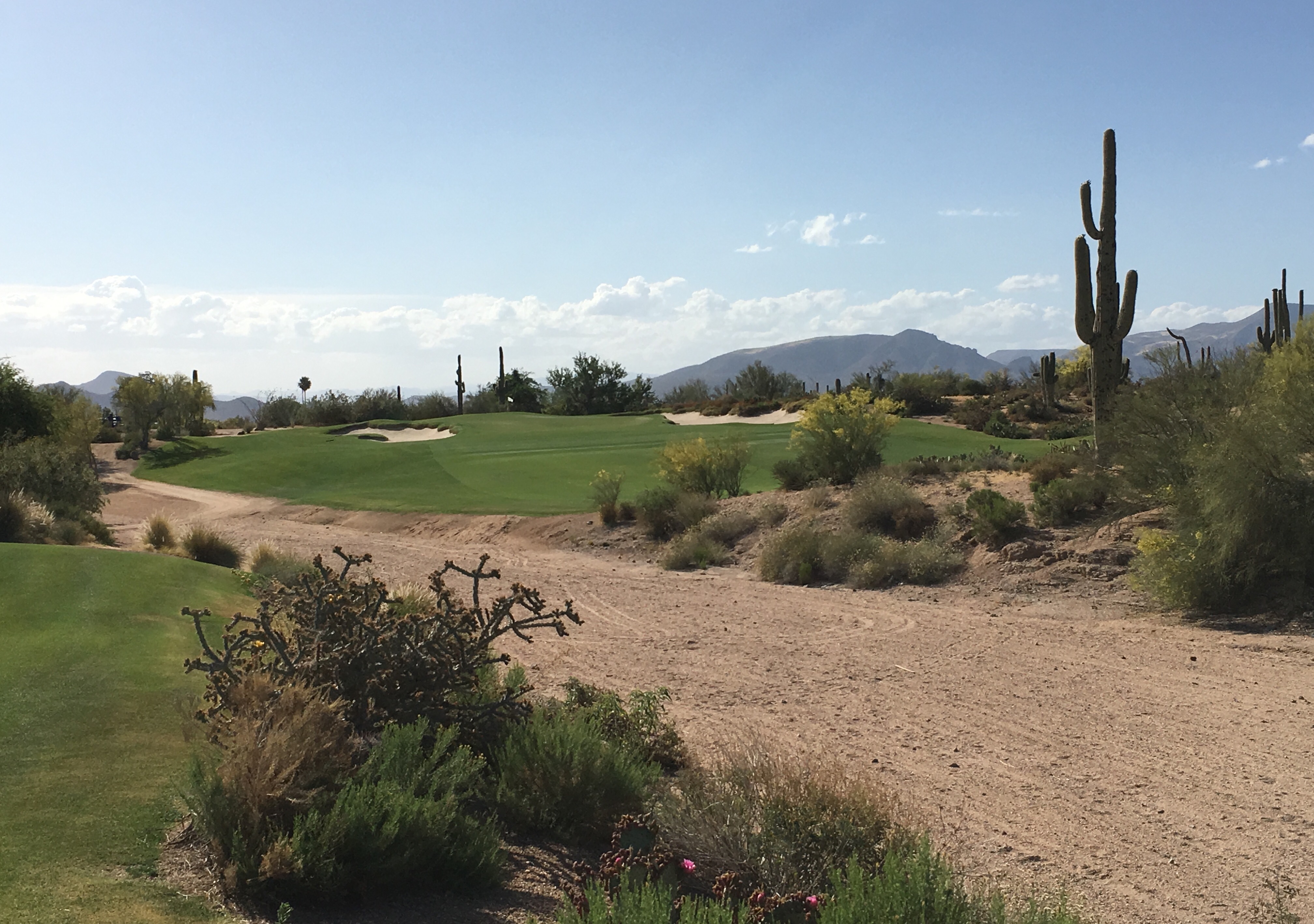 DesertForest7-Approach