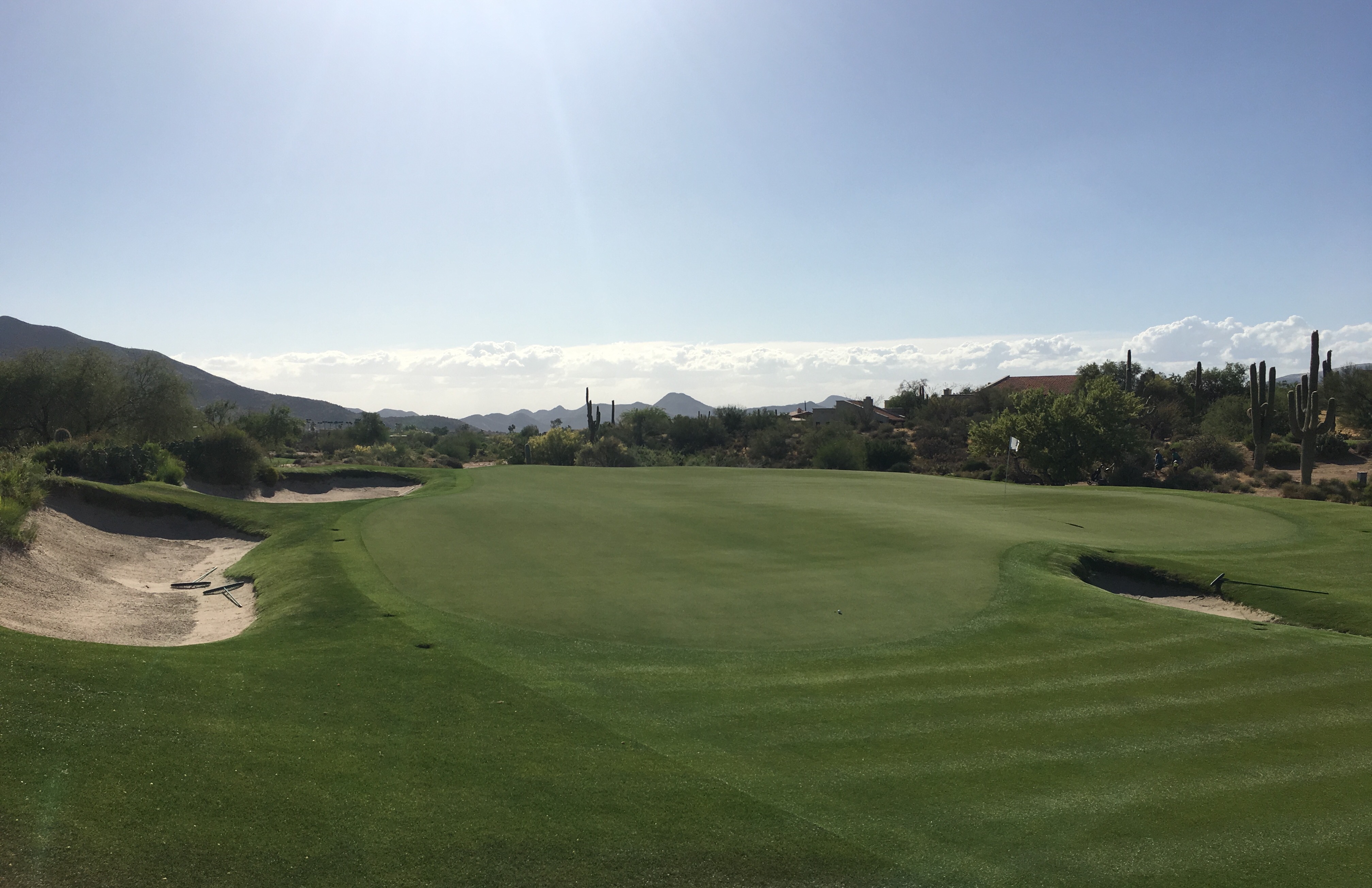 DesertForest8-ShortLeft