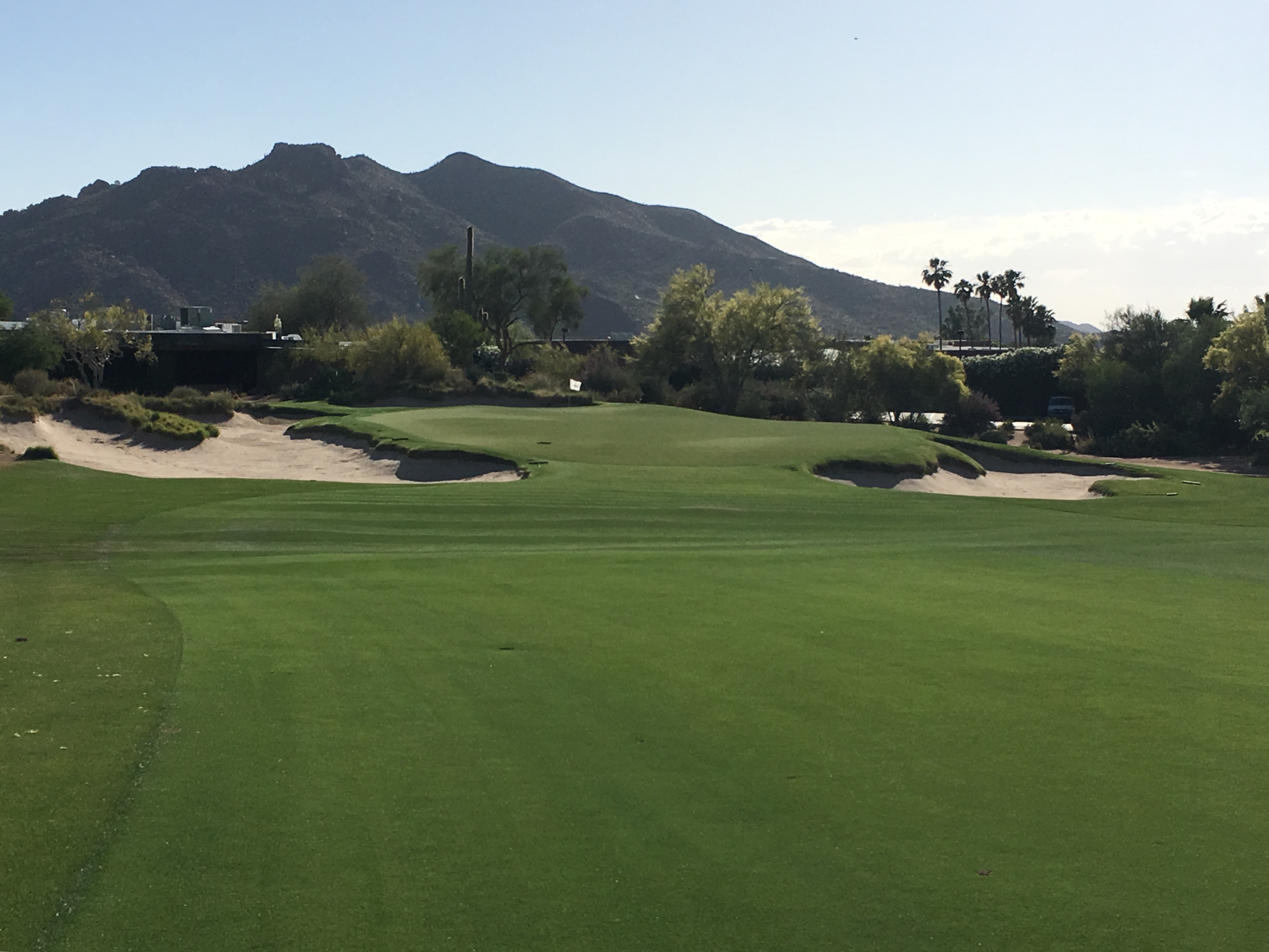 DesertForest9-Approach