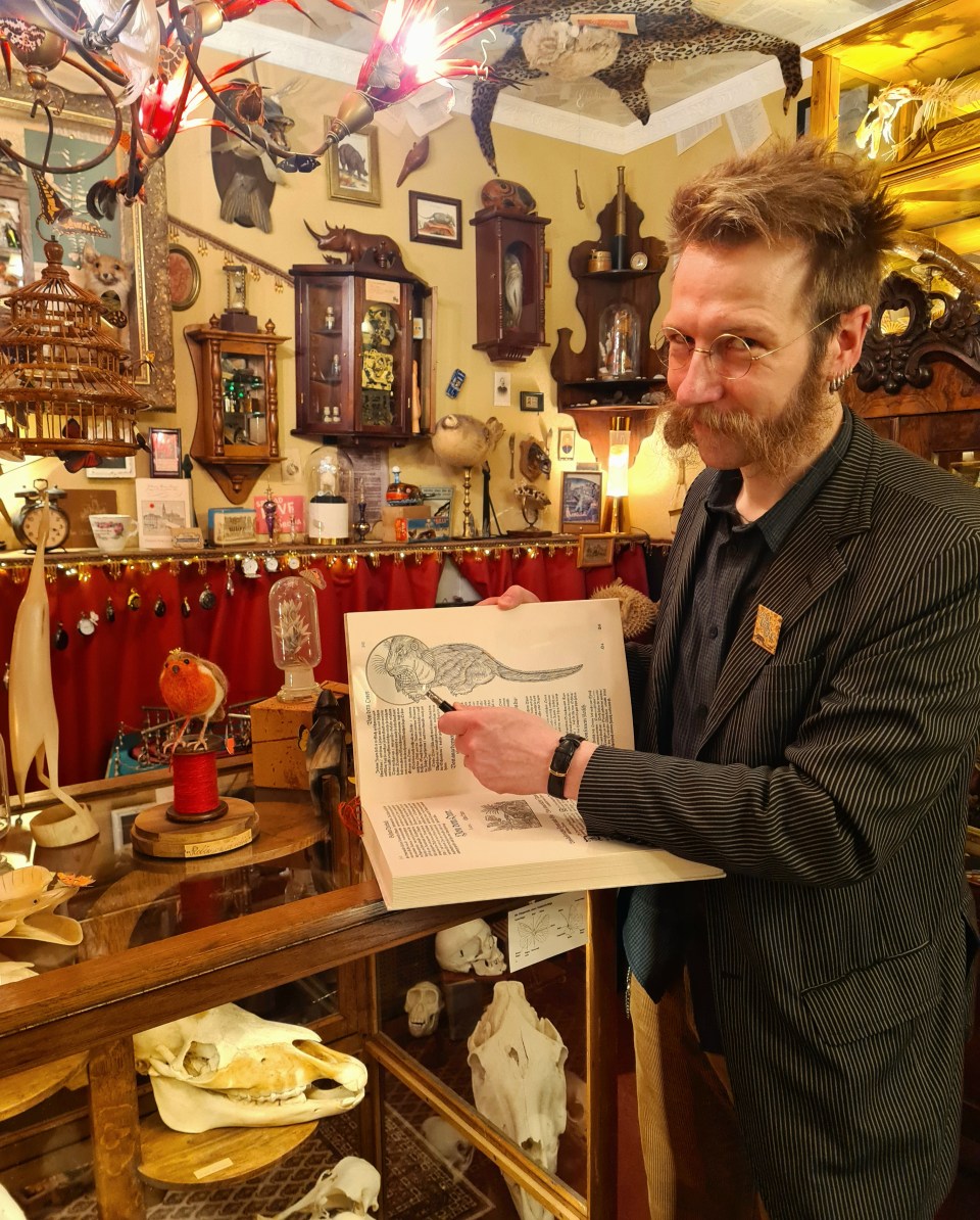 Dr. Wolfs Wunderkammer: Dr. Wolf mit einer historischen Otter-Darstellung