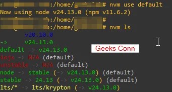 Check Version Default Node Js