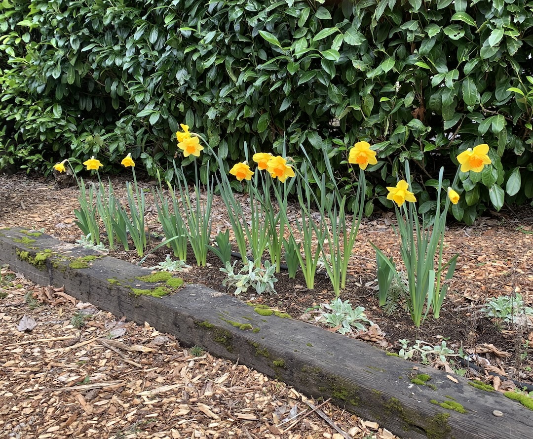 Gardening in the South Puget Sound – The Seasons