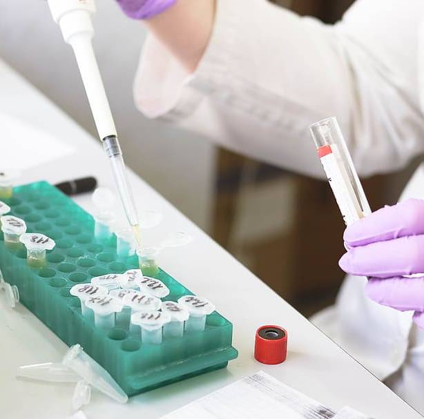 a researcher pipetting liquid into tubes