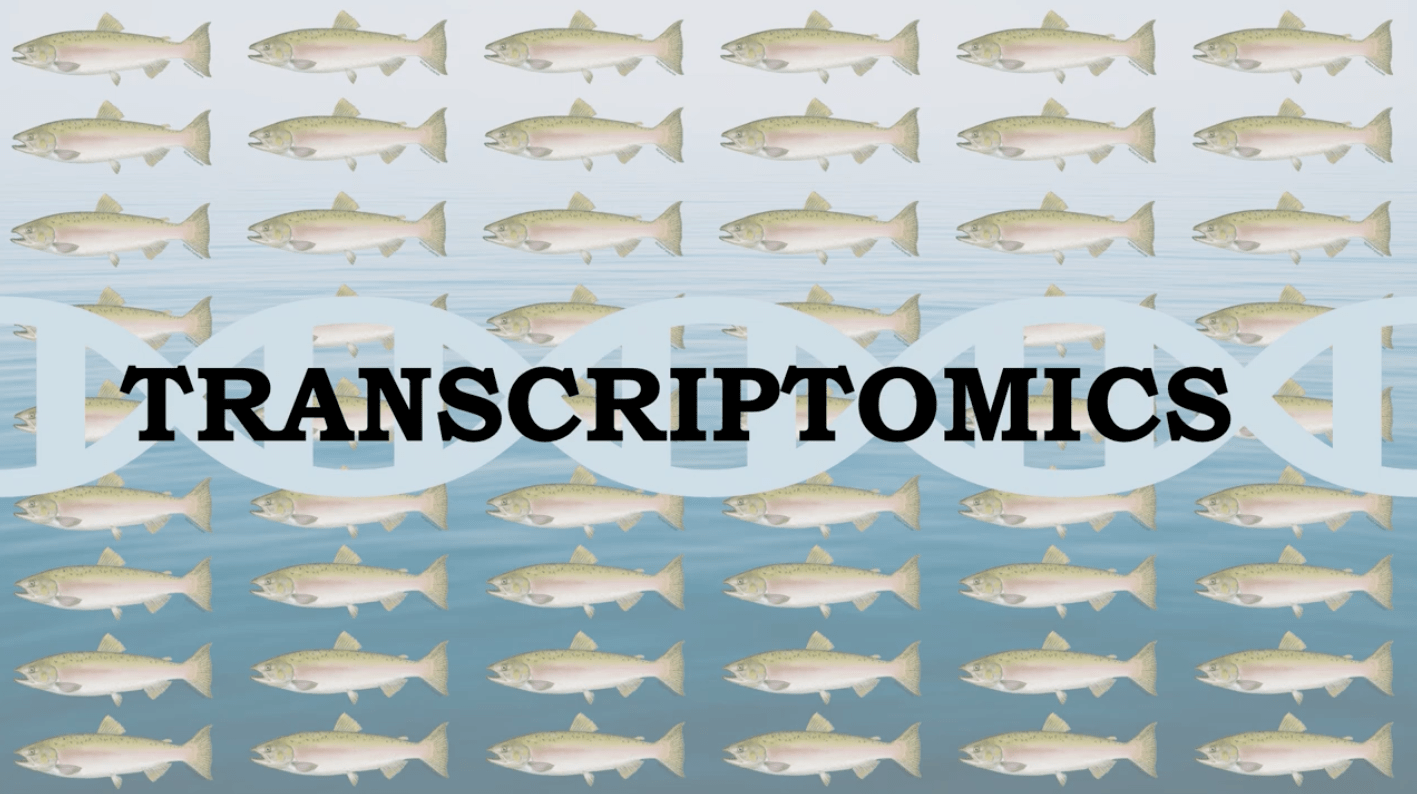 Transcriptomics_video