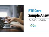 Pte Core Sample Answers Genebyte